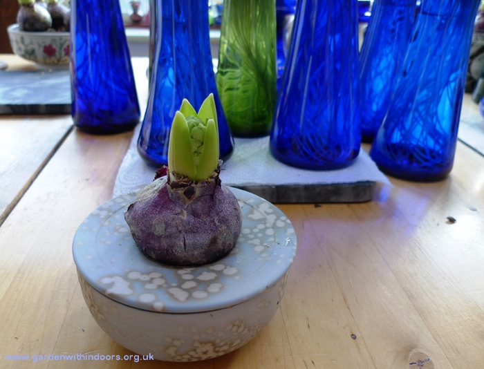 Hornsea pot