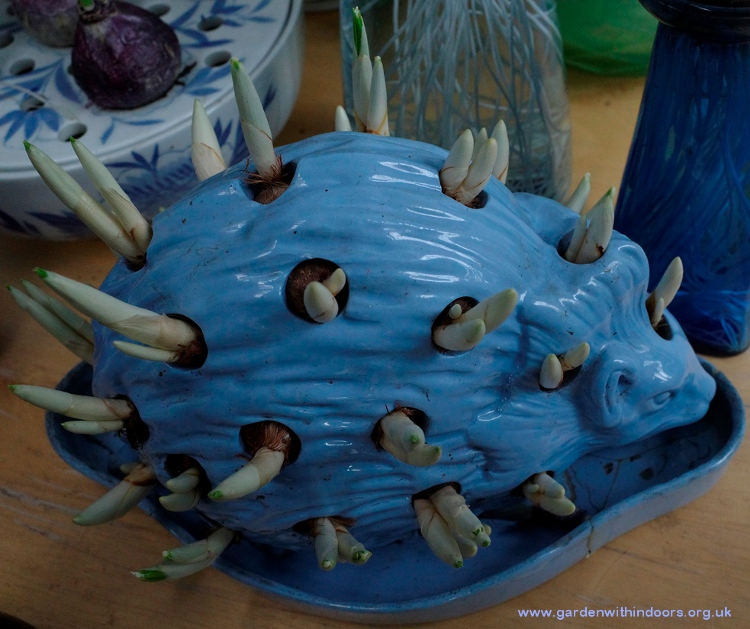Wedgwood hedgehog