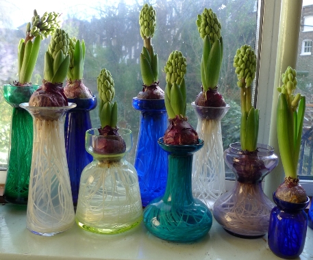 crop of strange vegetables