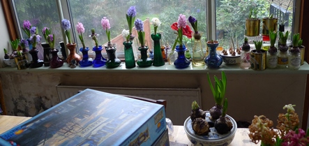 hyacinth vases