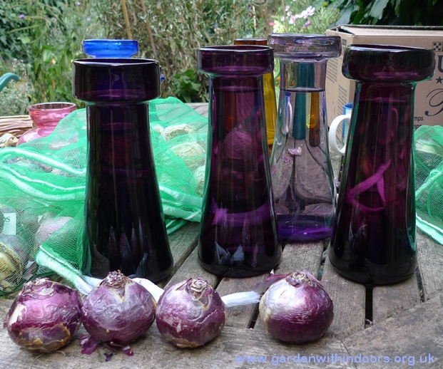 hyacinth vases