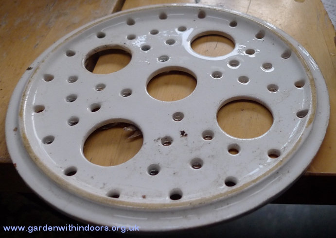 hyacinth bulb bowl lid