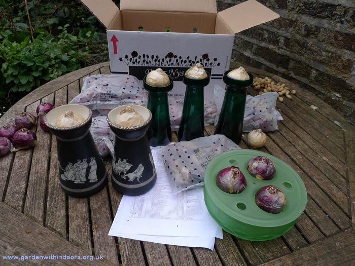 Davidson bulb bowl