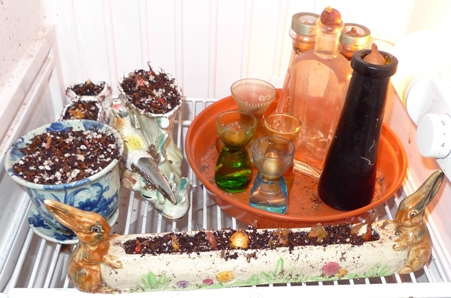 bulbs in fridge