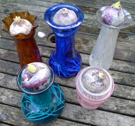 hyacinth vases