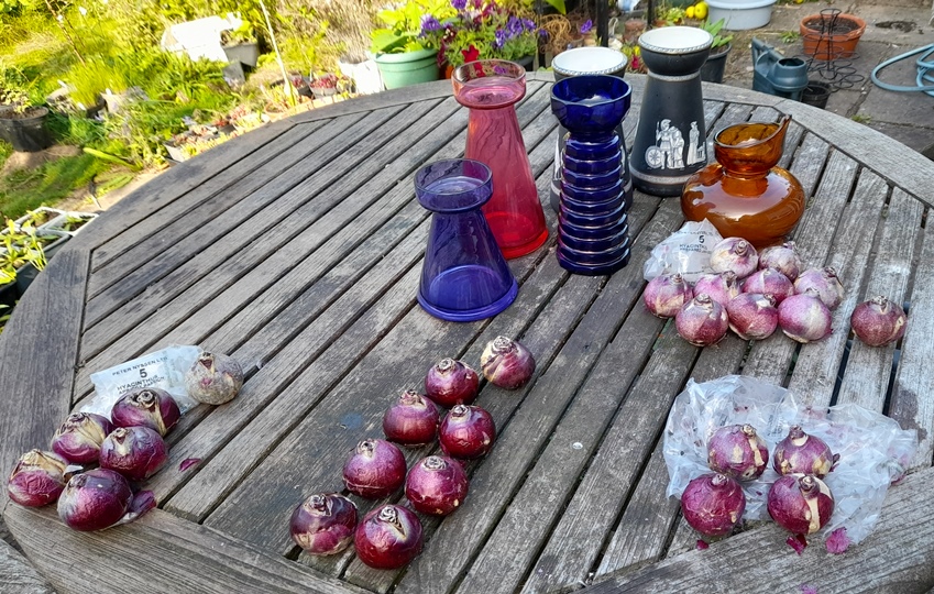 hyacinth vases