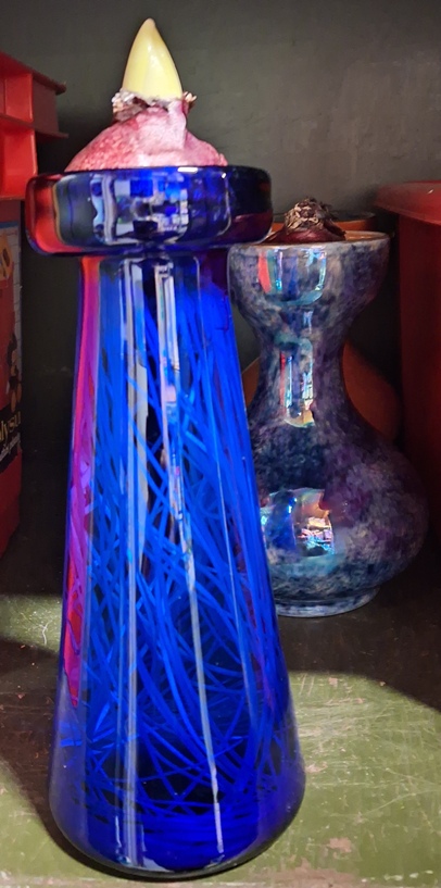 hyacinth vase