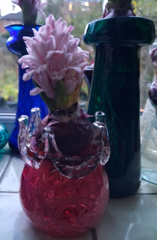 fondant hyacinth in hyacinth vase