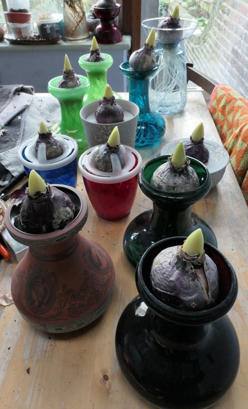 hyacinth vases