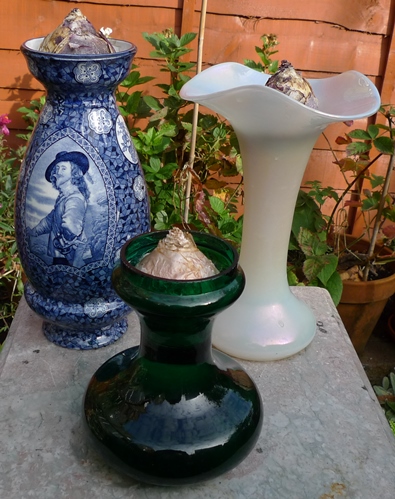 hyacinth vases