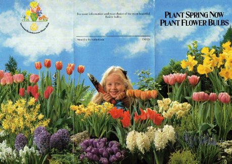 Plant Spring Now page 1