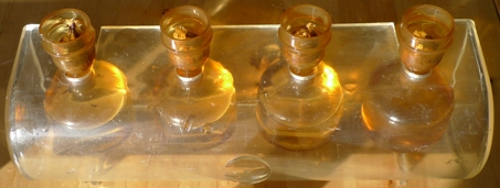 small tulips in plastic vases for forcing