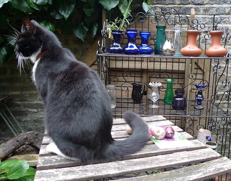 hyacinth vases