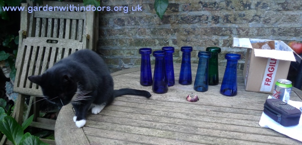 hyacinth vases