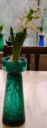 LInnocence hyacinth