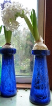 LInnocence hyacinth